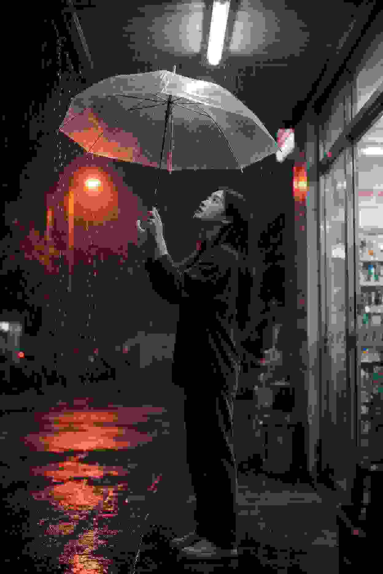 内容